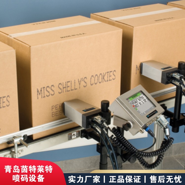 Weidijie 2120 Large Inkjet Printer Multi line Inkjet Printing Material Outer Packaging Box Inkjet Machine