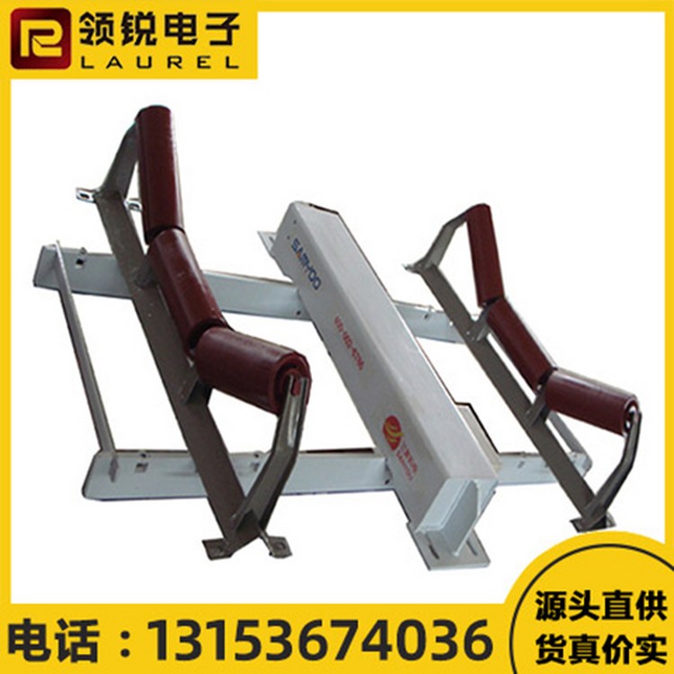 调速皮带秤 可进行调控 操作简单方便 领锐 精度高