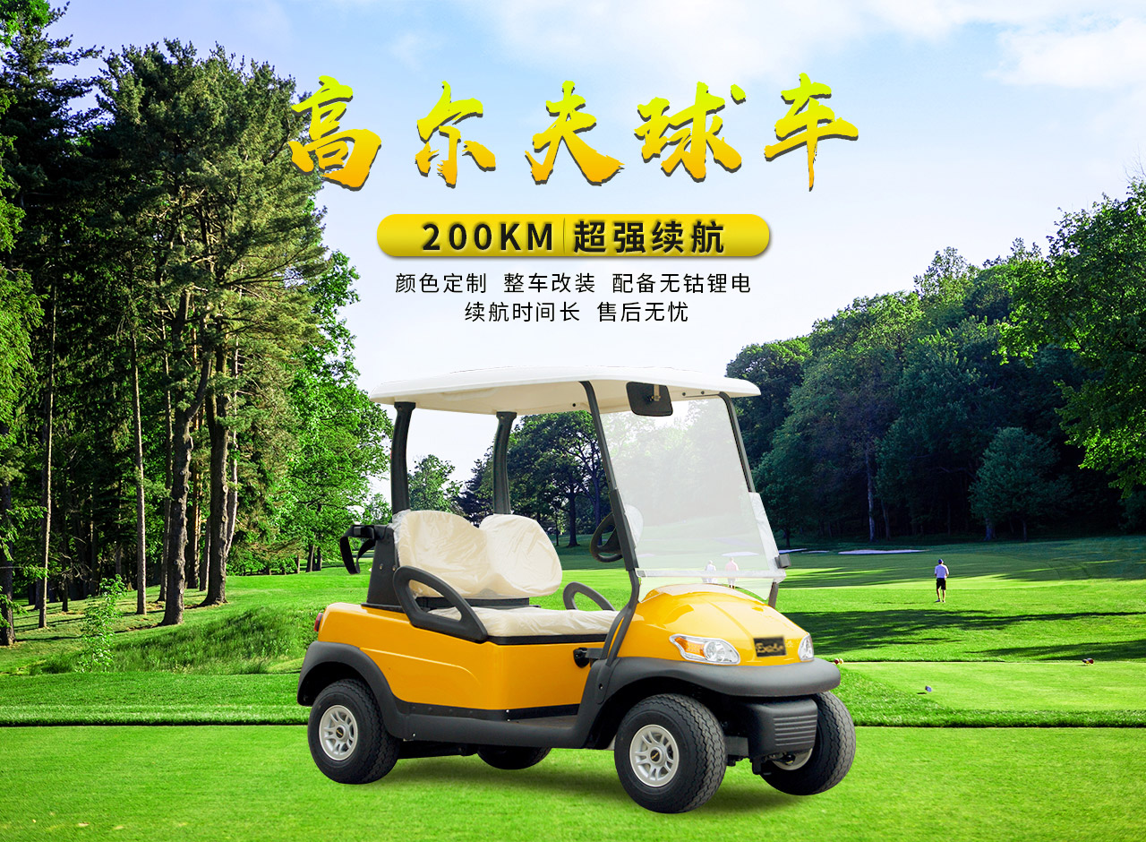 Donglang Electric New Energy 2 Golf Sightseeing Bus - Scenic Area Park Tour bus service - A1S2