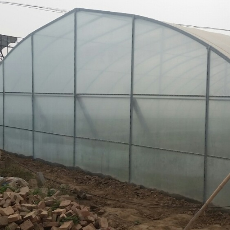 Fengyang Agricultural Greenhouse Construction Formed Steel Pipe Installation on Site Durable and Durable