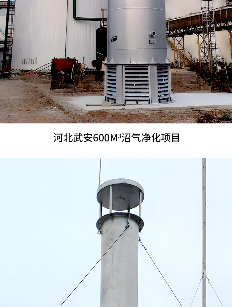 Garbage landfill biogas combustion torch Hongshuo internal combustion type stainless steel small-scale breeding farm landfill biogas torch