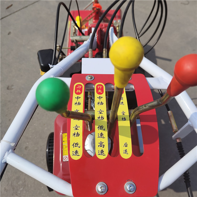 Electric starting handheld micro tiller Chengyu 186 scallion cultivator Strawberry planting and trenching machine