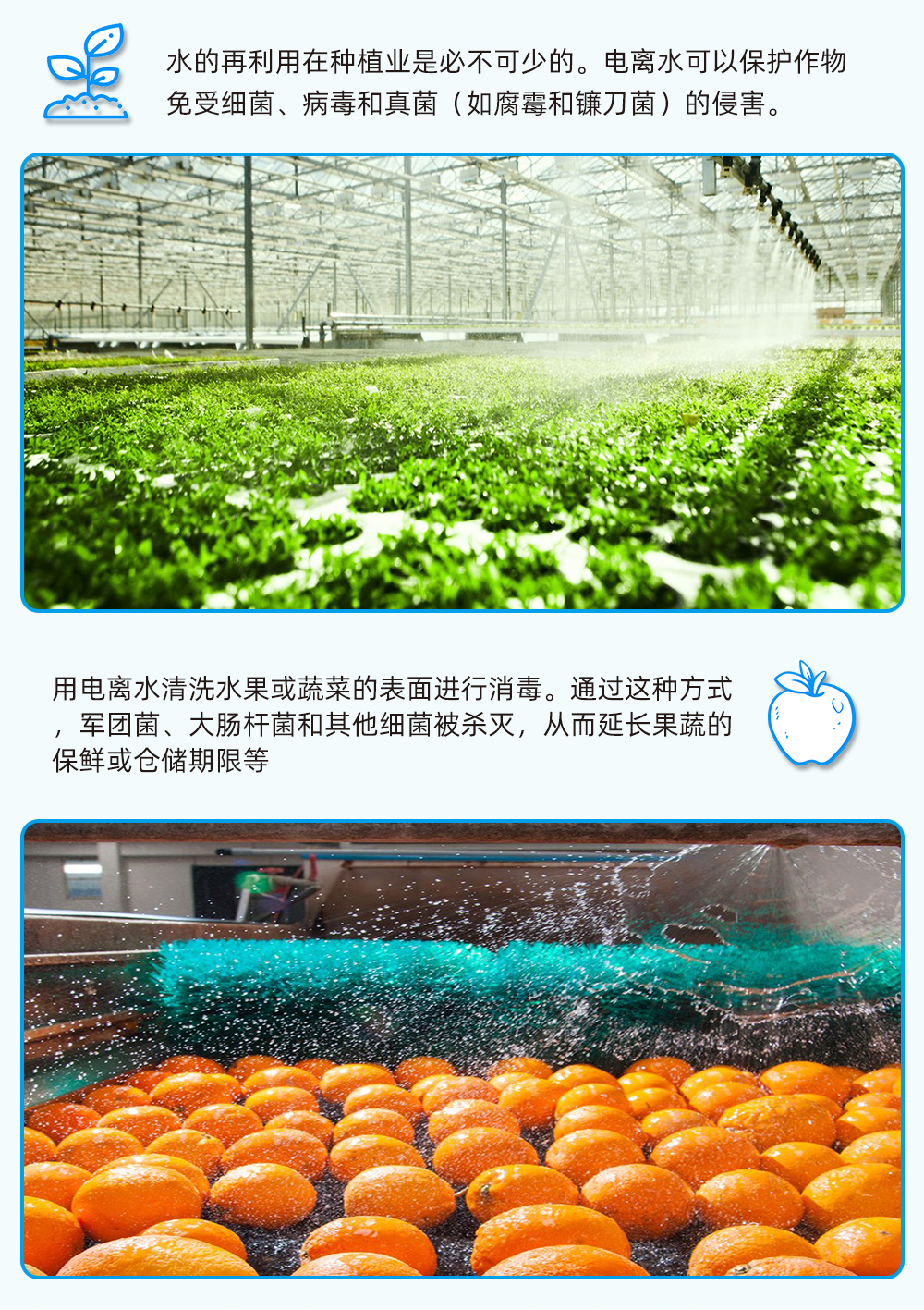 Agricultural planting, sterilization and disinfection equipment, livestock breeding, disinfection, plasma ionization activation, water and air purification device