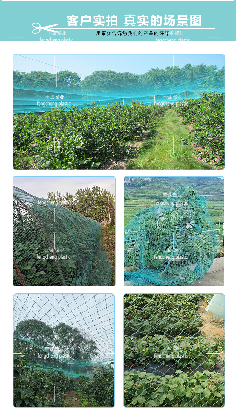 Plastic chicken net, sturdy and durable plastic net, fence net for chicken, duck, and goose breeding