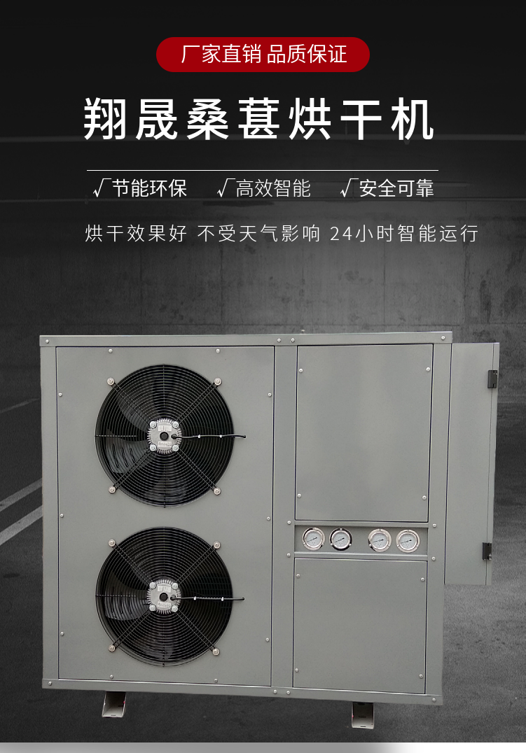 Xiangsheng Agricultural Products Preserved Fruit and Mulberry Drying Box Type Hot Air Circulation Drying Equipment