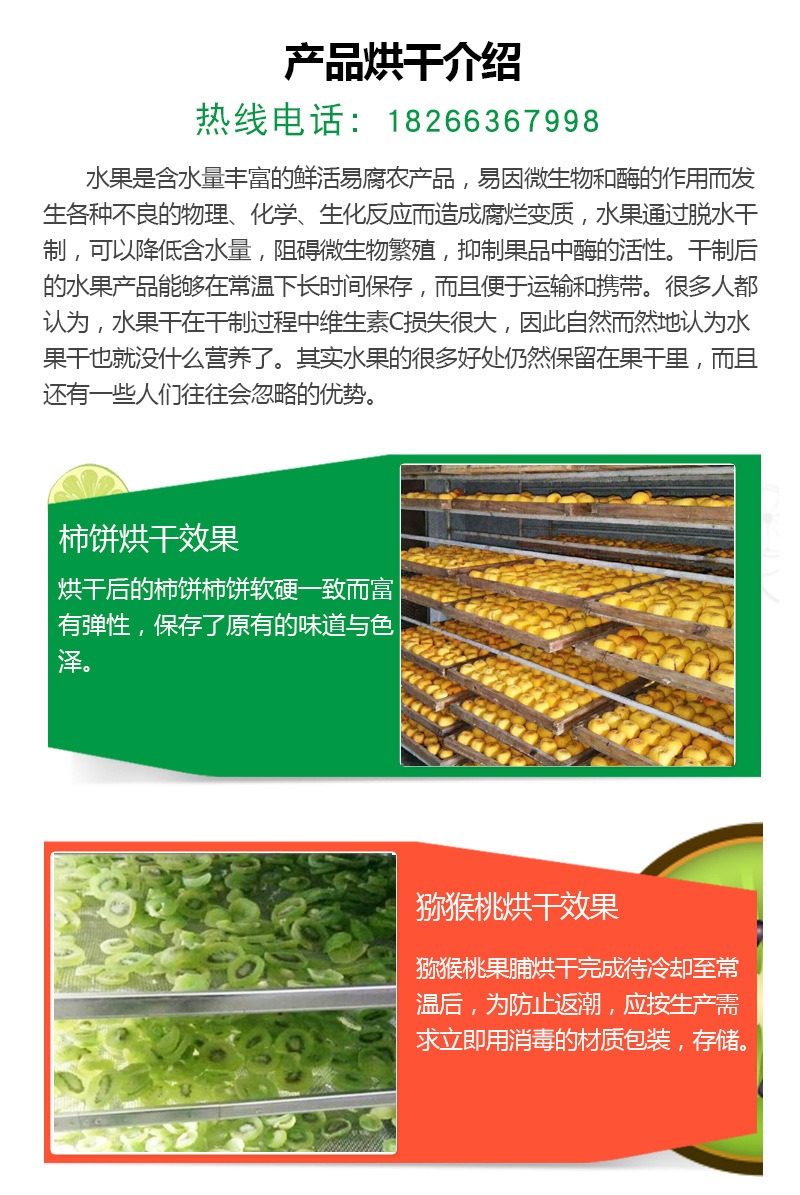 Customized multi-layer mesh belt dryer for dehydrating vegetables, dates, yams, and food belt dryer