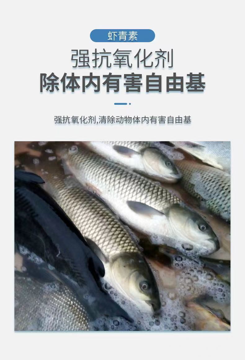 Haematococcus pluvialis extract natural astaxanthin aquatic Aquarium fish shrimp and crab aquaculture