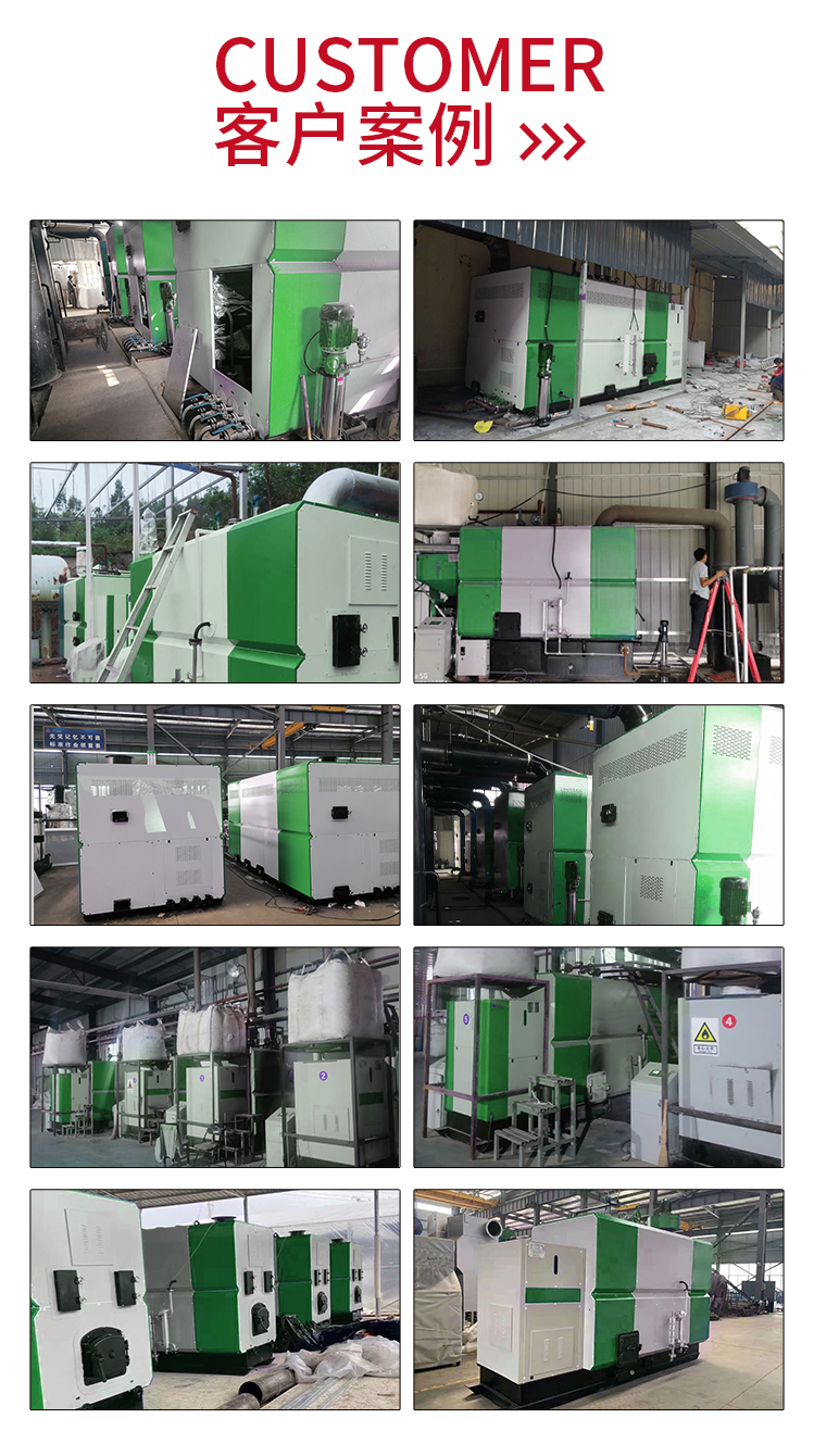 Pareton Biomass Steam Generator manufacturer, large horizontal particle size, free from supervision and inspection, fully automatic industrial 2 tons