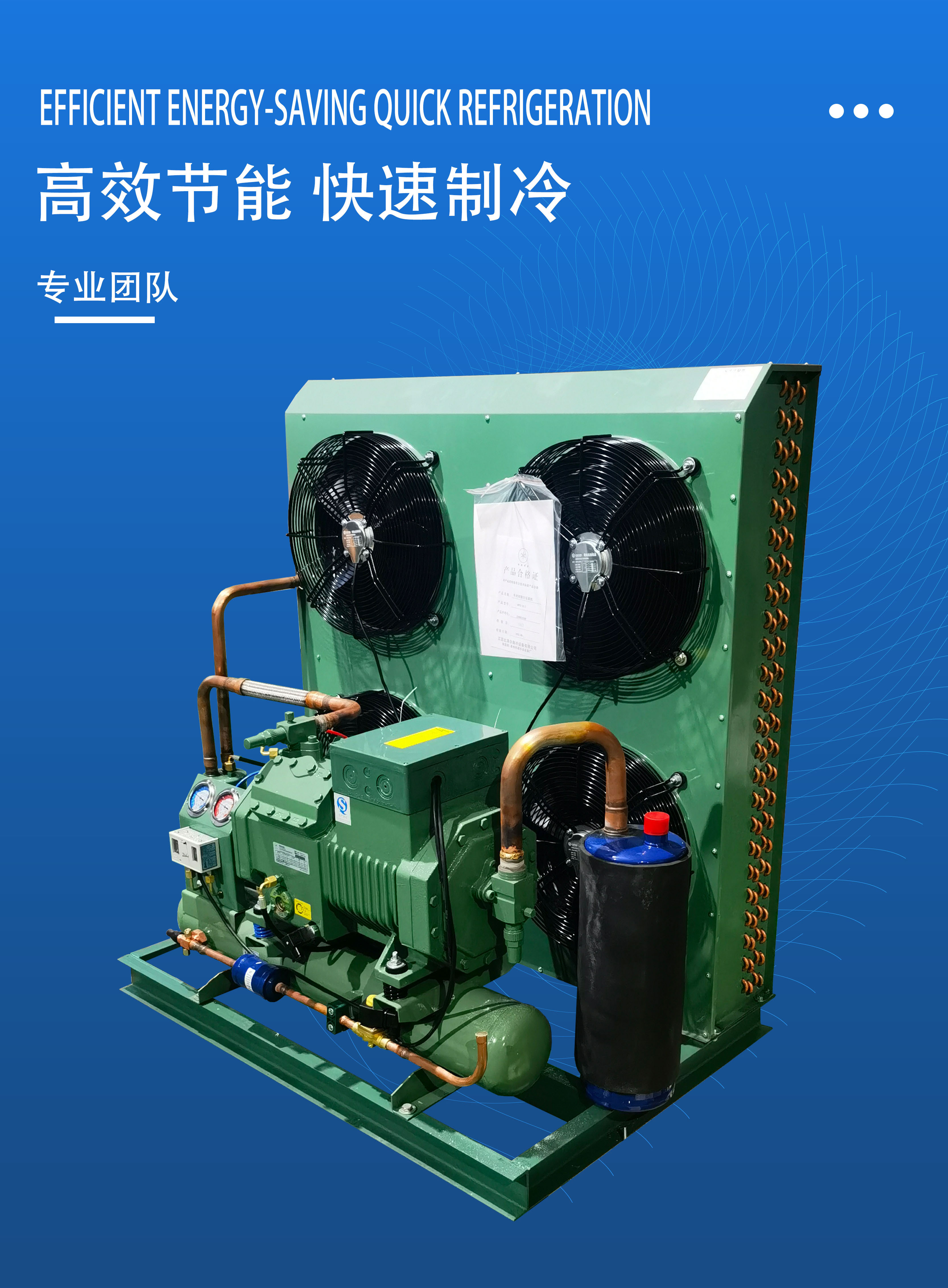 Bizel Cold Storage Refrigeration Compressor Unit Low Temperature Semi enclosed Piston Air Cooling Unit