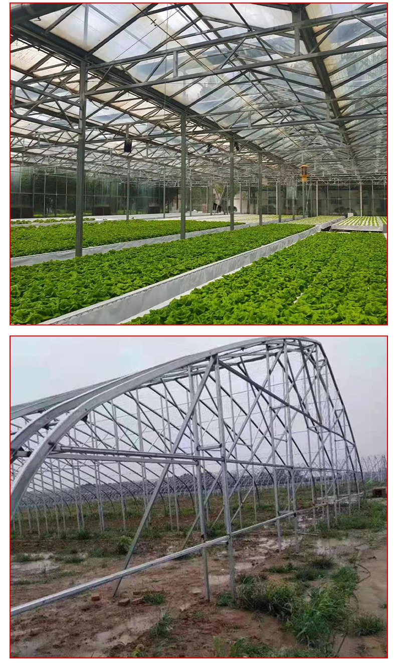 Large span vegetable and fruit arch greenhouse intelligent glass greenhouse with good daylighting performance Taiyouyi