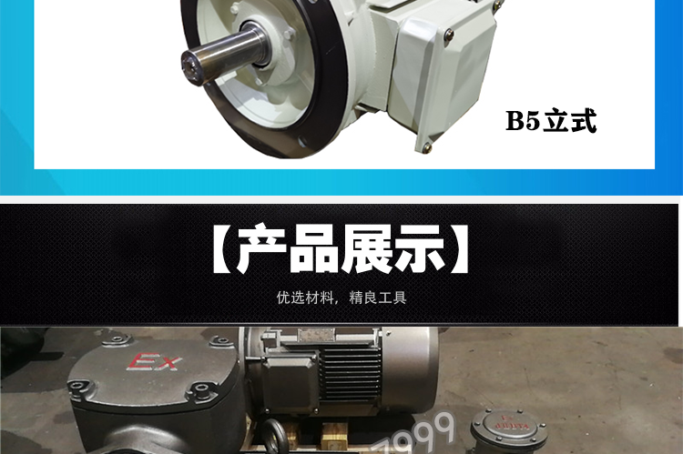 Sigma Flameproof Variable Frequency Speed Control Explosion proof Motor YBBP250M-2-55KW-B3-B5-380V/5-100HZ