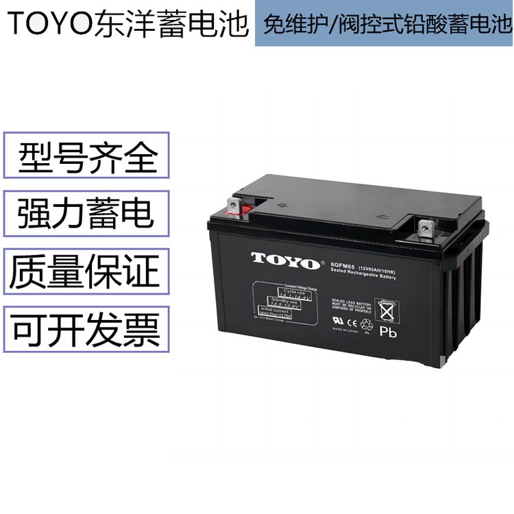 TOYO东洋蓄电池6GFM60 配电柜 应急照明 基站储能 EPS电源