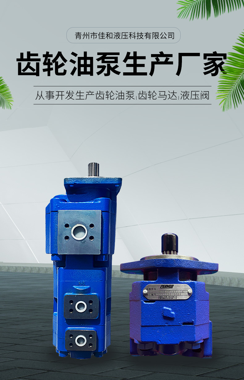 P124-G16182LD54G Directional Trenchless Drilling Machine Gear Pump Jiahe Hydraulic