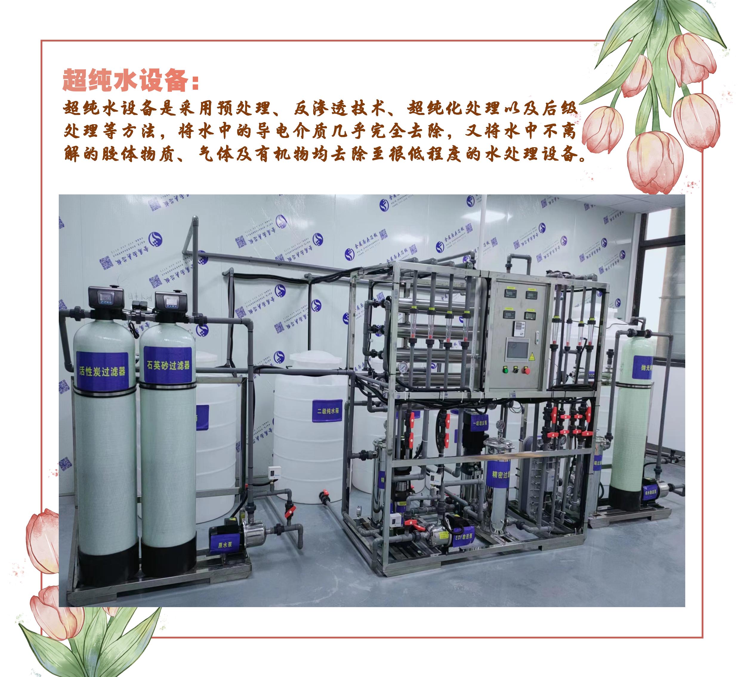 0.5 ton electronic Ultrapure water equipment EDI module Ultrapure water machine manufacturer customized nationwide delivery