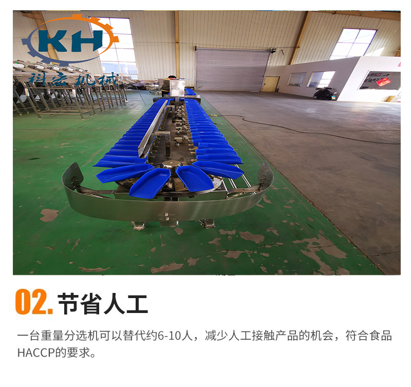 Material box sorting machine Seafood size sorting machine Potato and potato grading equipment