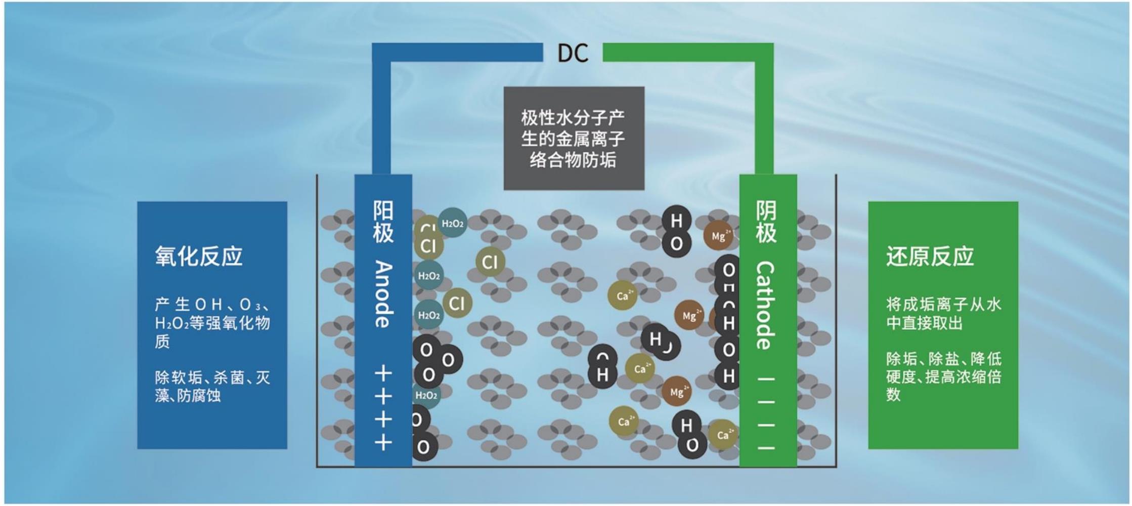 Welcome to inspect the chemical scale removal device and sterilization device replacing chemical agents in the circulating water and electricity plant