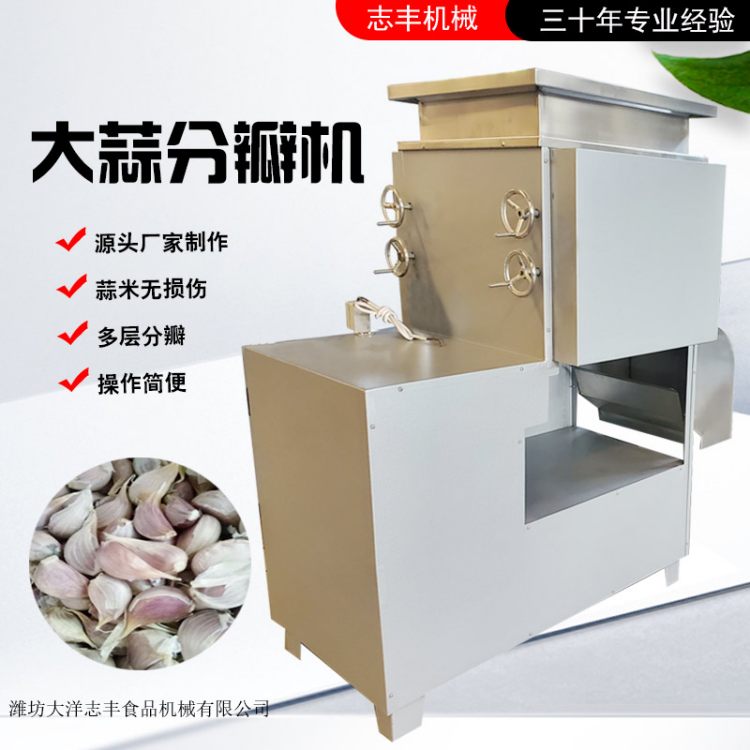 大蒜破瓣机 500kg/h蒜头分瓣机 蒜蓉加工设备 SFB型剥瓣机 支持定制