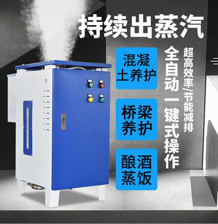 Electric steam generator boiler brewing tofu reaction kettle sauna bath bridge maintenance steam engine industrial manufacturer