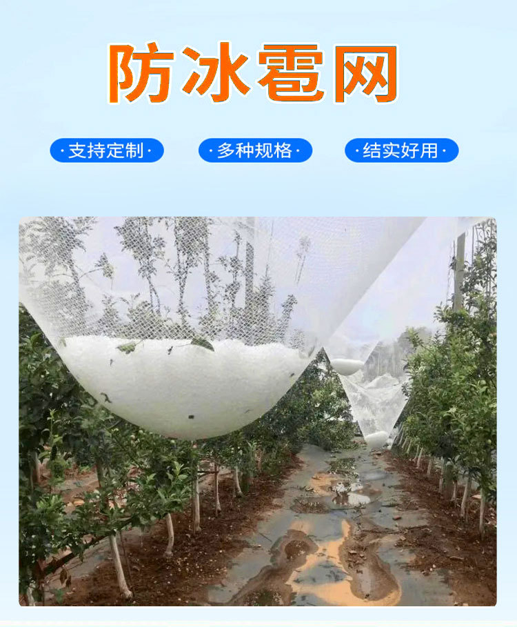 Orchard Hail Prevention Net Apple Grape Pear Tree Fish Pond Goji Berry Greenhouse Hail Prevention Net New Material