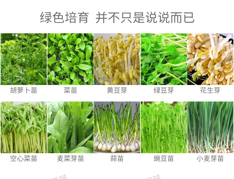 Fully automatic bean sprout equipment, large commercial soybean sprout machine, automatic temperature control, and convenient watering operation