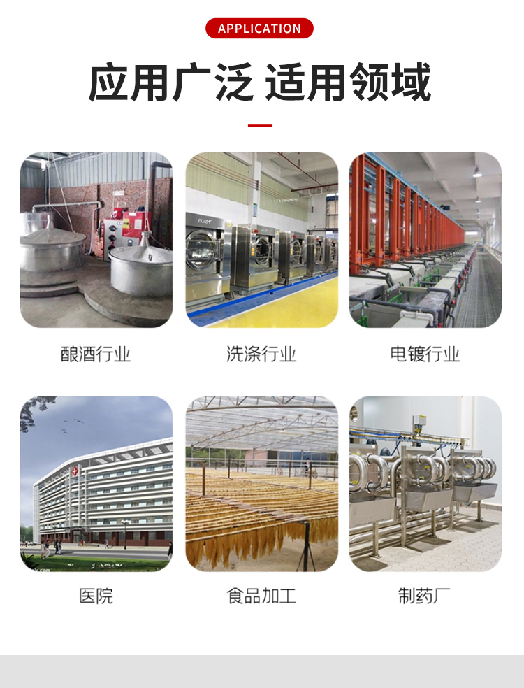 Biomass 2500KG steam generator Hot spring hotel swimming pool heating Steam engine full-automatic boiler