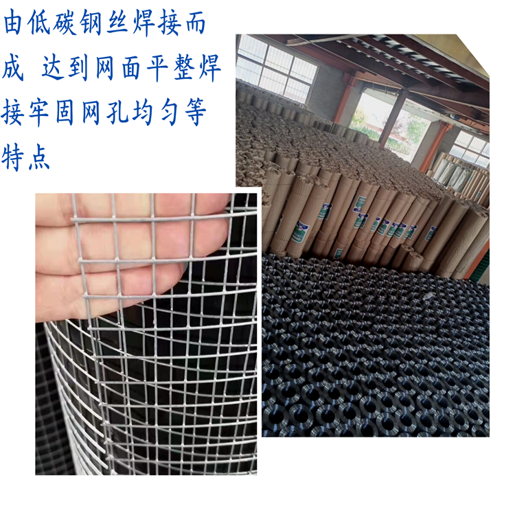 Selected manufacturer of Wanxun products, steel wire mesh, galvanized welding mesh, spraying flue, galvanized mesh