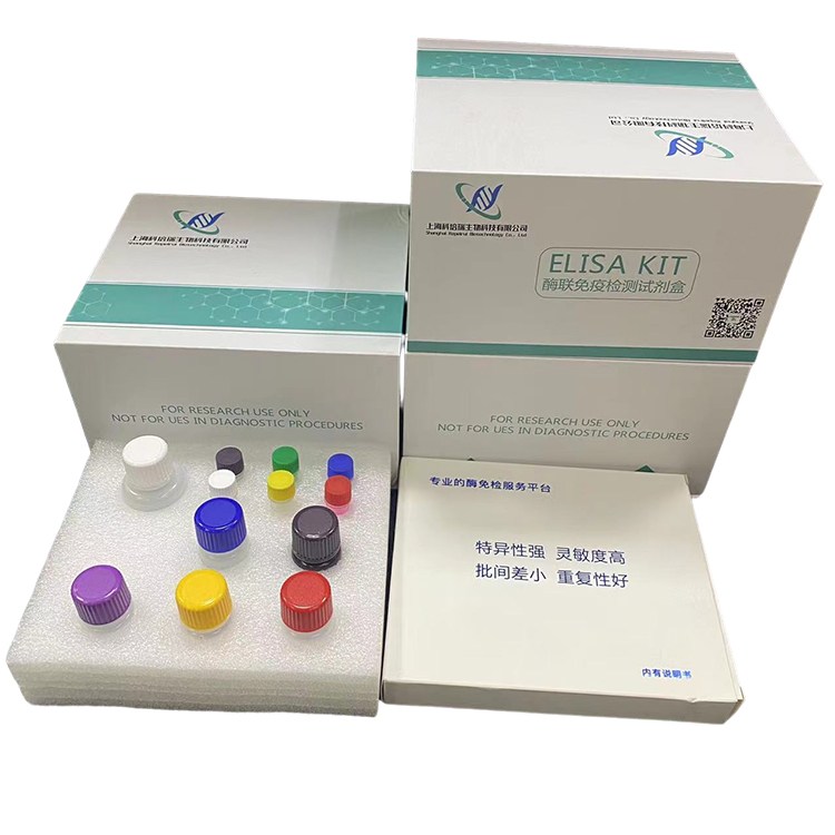 小鼠前神经降压素/神经介素N(ProNT/NMN)elisa试剂盒 品质无忧