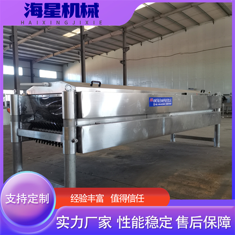 Horizontal hair removal machine for poultry slaughter, broiler chickens, meat and duck hair removal equipment, fully automatic poultry hair removal machine