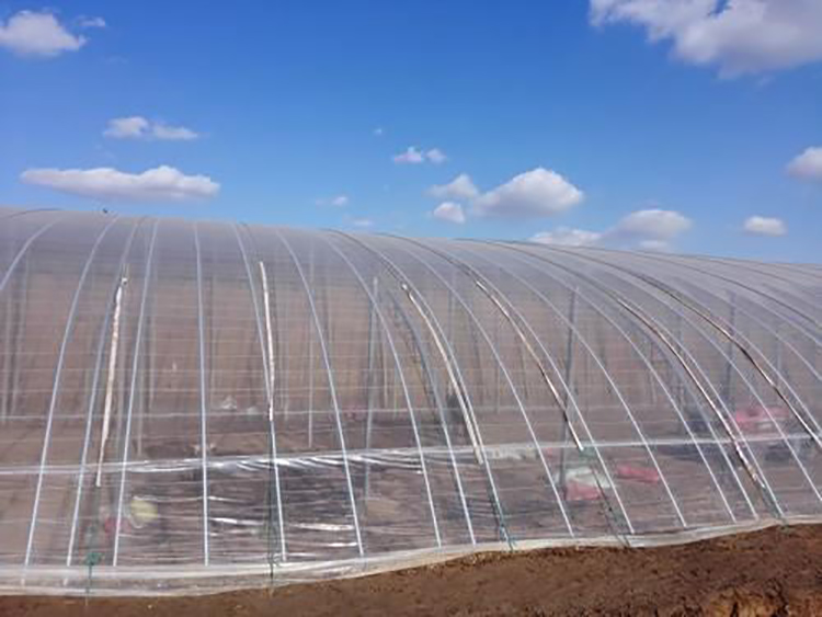 Shuaifeng Po greenhouse film vegetable insulation winter film with long service life, tensile and aging resistance, wholesale by manufacturers