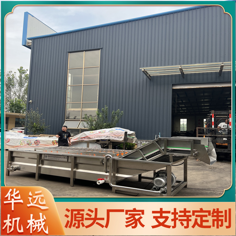 Huayuan Vegetable Cleaning Machine Bitter Vegetable Cleaning Manufacturing Line Pickled Vegetable Dehydration and Desalination Equipment 4000 Type Clean Vegetable Processing