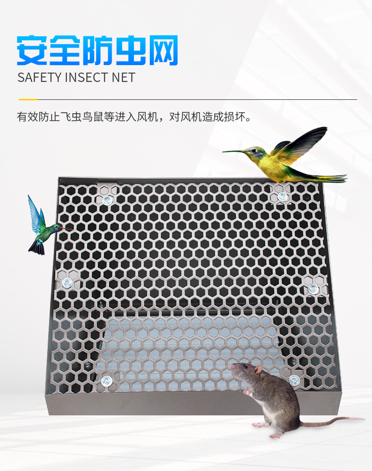 Side wall fan factory anti-corrosion, low noise, insect and rodent proof, explosion-proof side wall exhaust fan DWEX