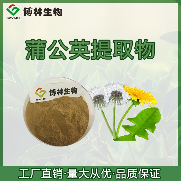 [Bolin Biology] Taraxacum extract 10:1 Water soluble Taraxacum powder with high purity