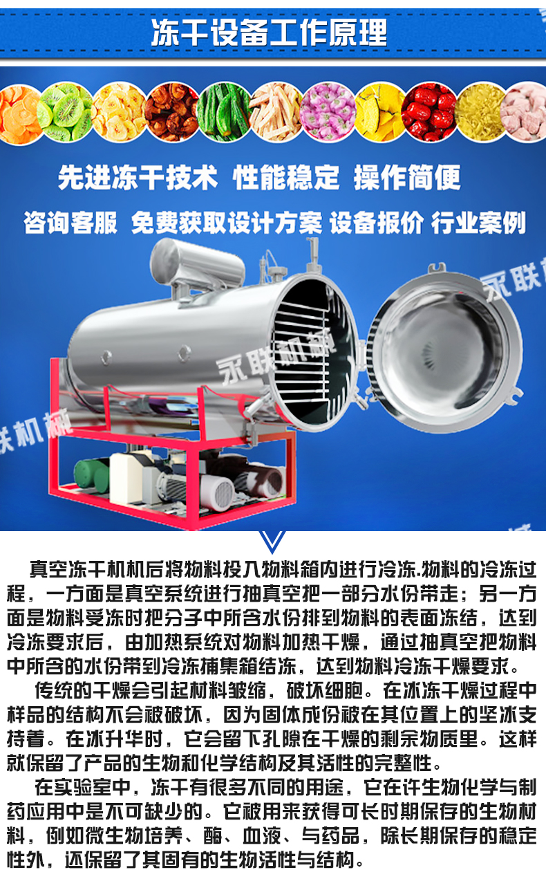 Yonglian DG-6 flowerless fruit freeze-drying machine Kiwi vacuum freeze-drying equipment Low temperature drying equipment