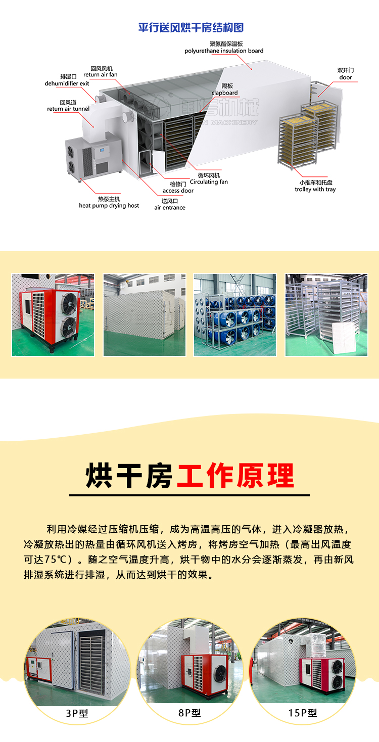 Green pepper dryer Large vegetable drying equipment Fruit and vegetable drying room Household pepper dryer