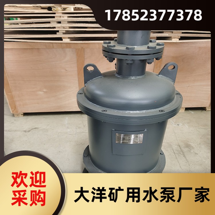 潜水式排沙泵 密封可靠 结构紧凑性能好 可定制 源头厂家