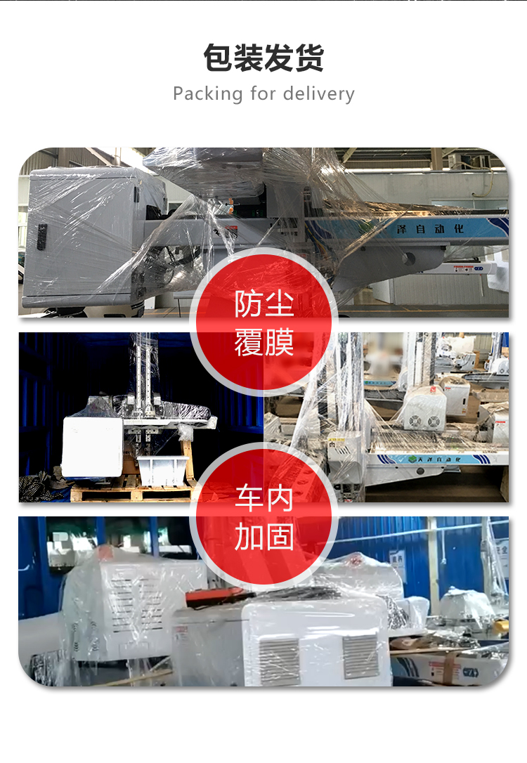 Tianze Automation TZA-1100WS-S3 Three Axis Small Bullhead Machine Truss Type Servo Robot Customization