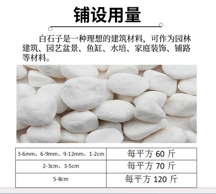 White pebbles 2-4mm with succulent paving for courtyard landscaping, white pebbles for garden landscape