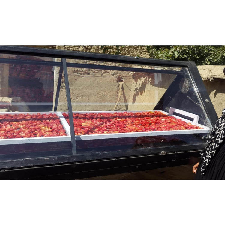 Energy saving solar drying equipment, agricultural and fruit product dryer, roller mobile