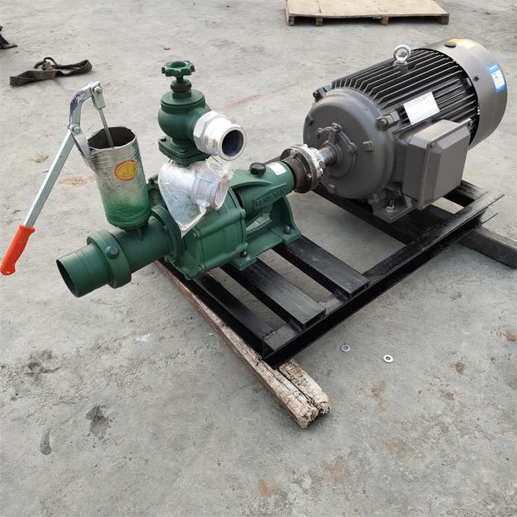 Spring Wheat Revitalization Irrigation Farmland Pump High Head Sprinkler Irrigation Large Reel Machine with 50 Spray Guns