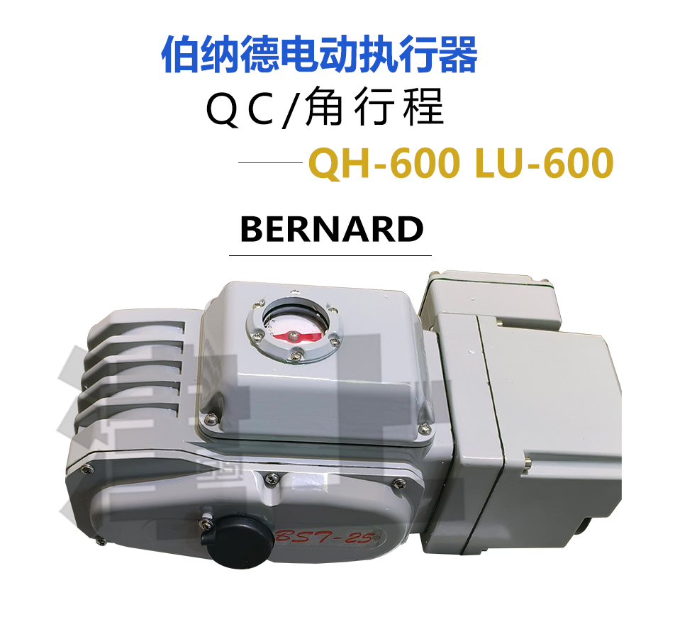 Jinshang Bernard QH-600 LU-600 Industrial and Mining Intelligent Regulating Analog Control Electric actuator Micro