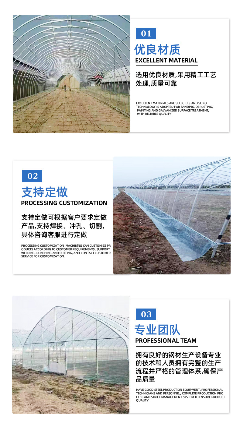 Taiyou Yi Film Greenhouse Greenhouse GR-004 Plastic Greenhouse Multi span Intelligent Greenhouse Design with Double Arch and Double Film