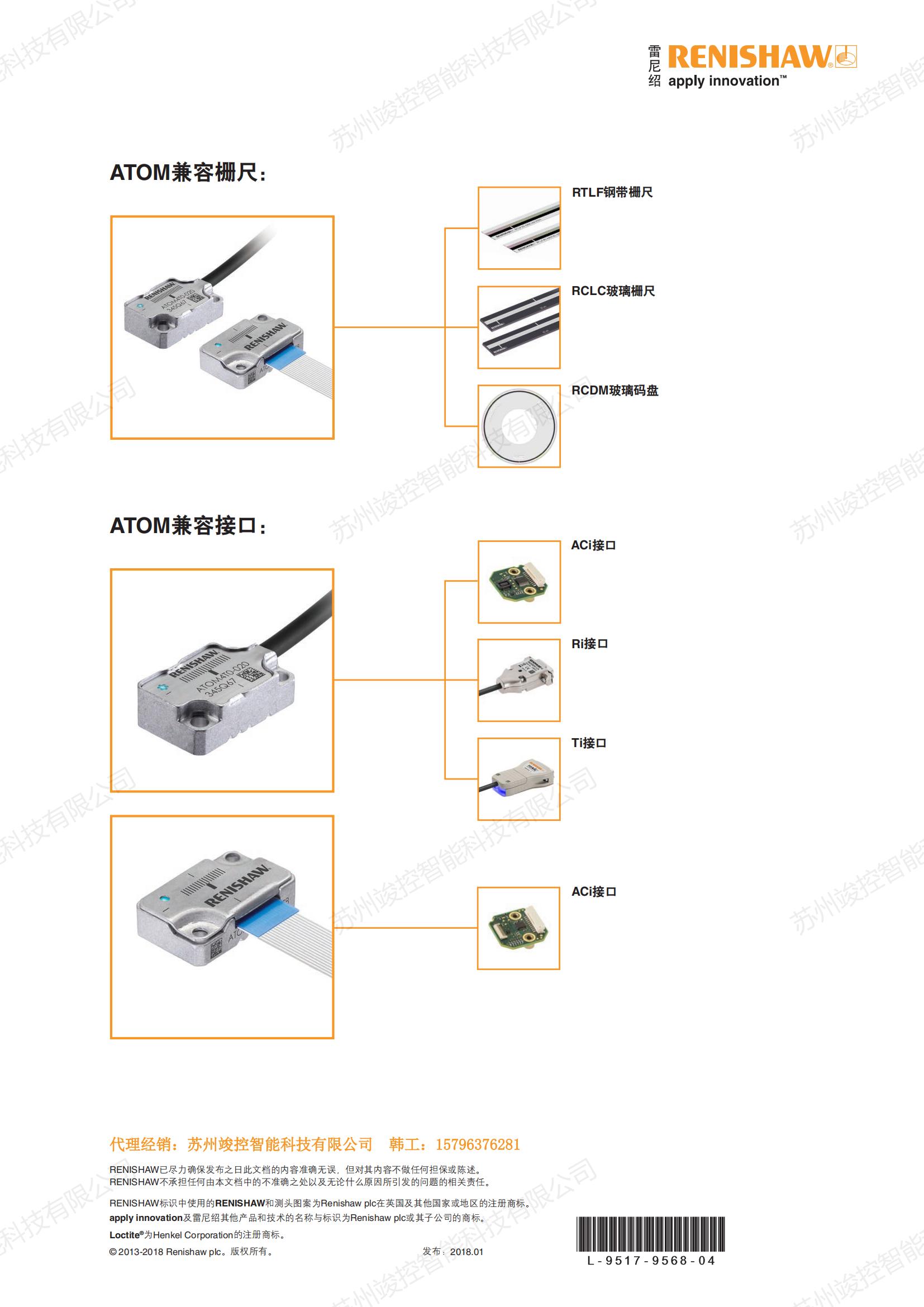 Renishao grating micrometer level ATOM reading head equipped with RCLC glass grating ruler laser scanner linear motor