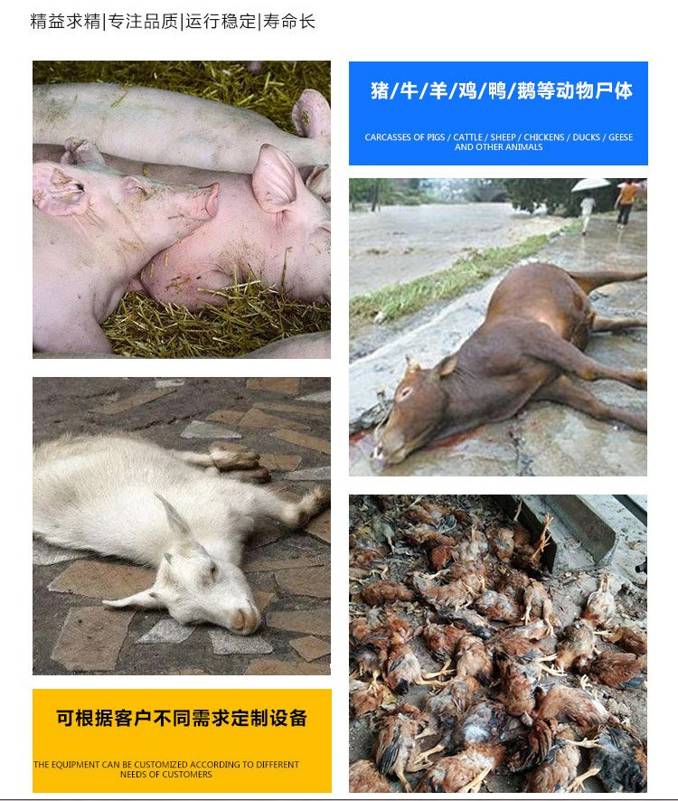 Jinxu Energy's 5 tons/day harmless treatment equipment for sick and dead stray animals, livestock and poultry corpse processing machine