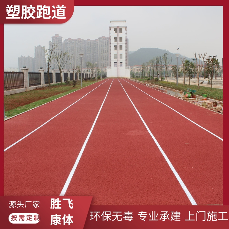 Connected to the outdoor plastic ground track project of the school sports playground. The construction of the plastic track in the sports field can be customized