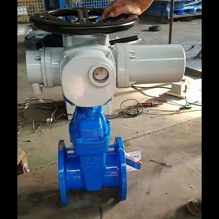 Electric pneumatic gate valve, self operated pressure regulating valve, ball valve customized by the manufacturer