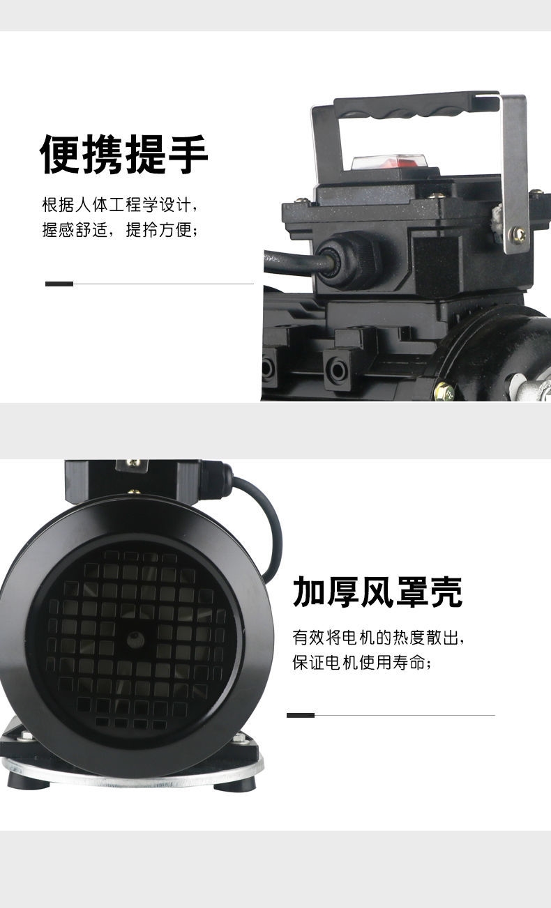 Production of WCB30 stainless steel portable pump portable explosion-proof 304 gear oil pump edible oil delivery pump