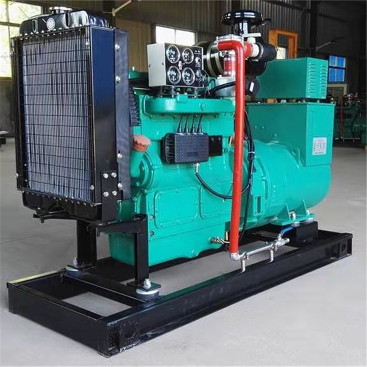 Blue Light Power 50kw Gas Generator Set Small 50kW Natural Gas Biogas Generator