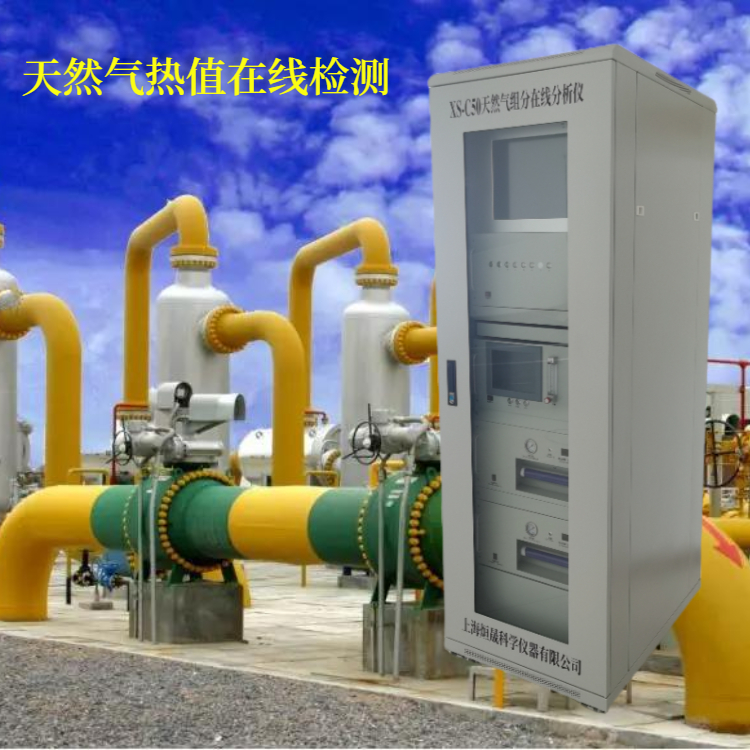 Xuansheng Keyi Online Natural Gas Calorific Value Analyzer DCS System Gas Analyzer Online Type