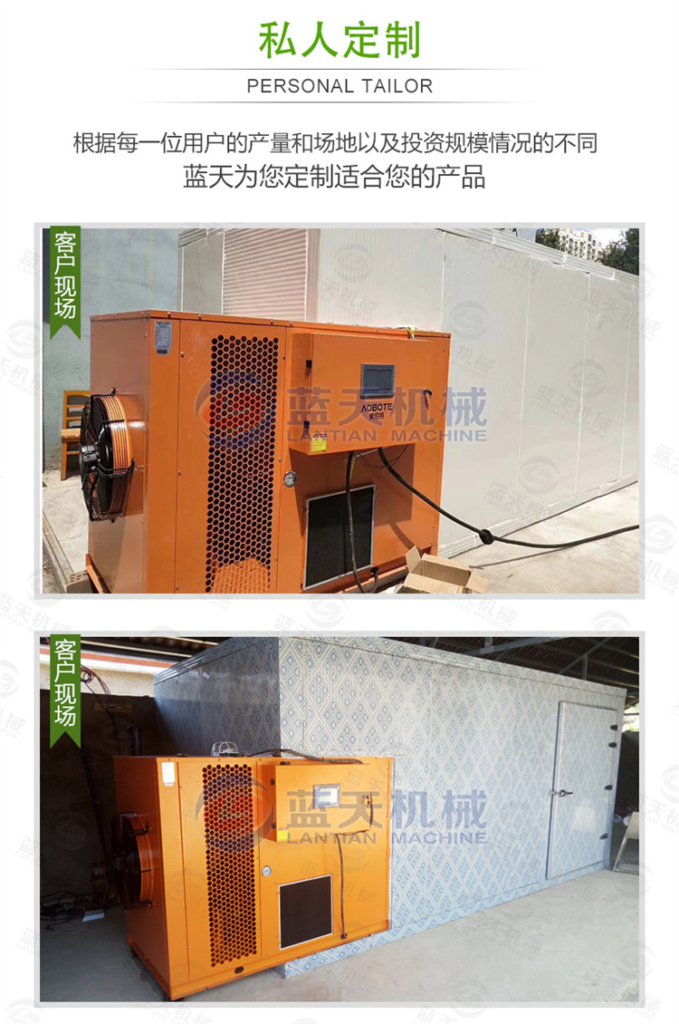 Magnolia Slice Drying Machine Large Heat Pump Fresh Bamboo Shoot Slice Drying Room Intelligent Drying Equipment for Tender Bamboo Shoot Tip Dried Bamboo Shoot