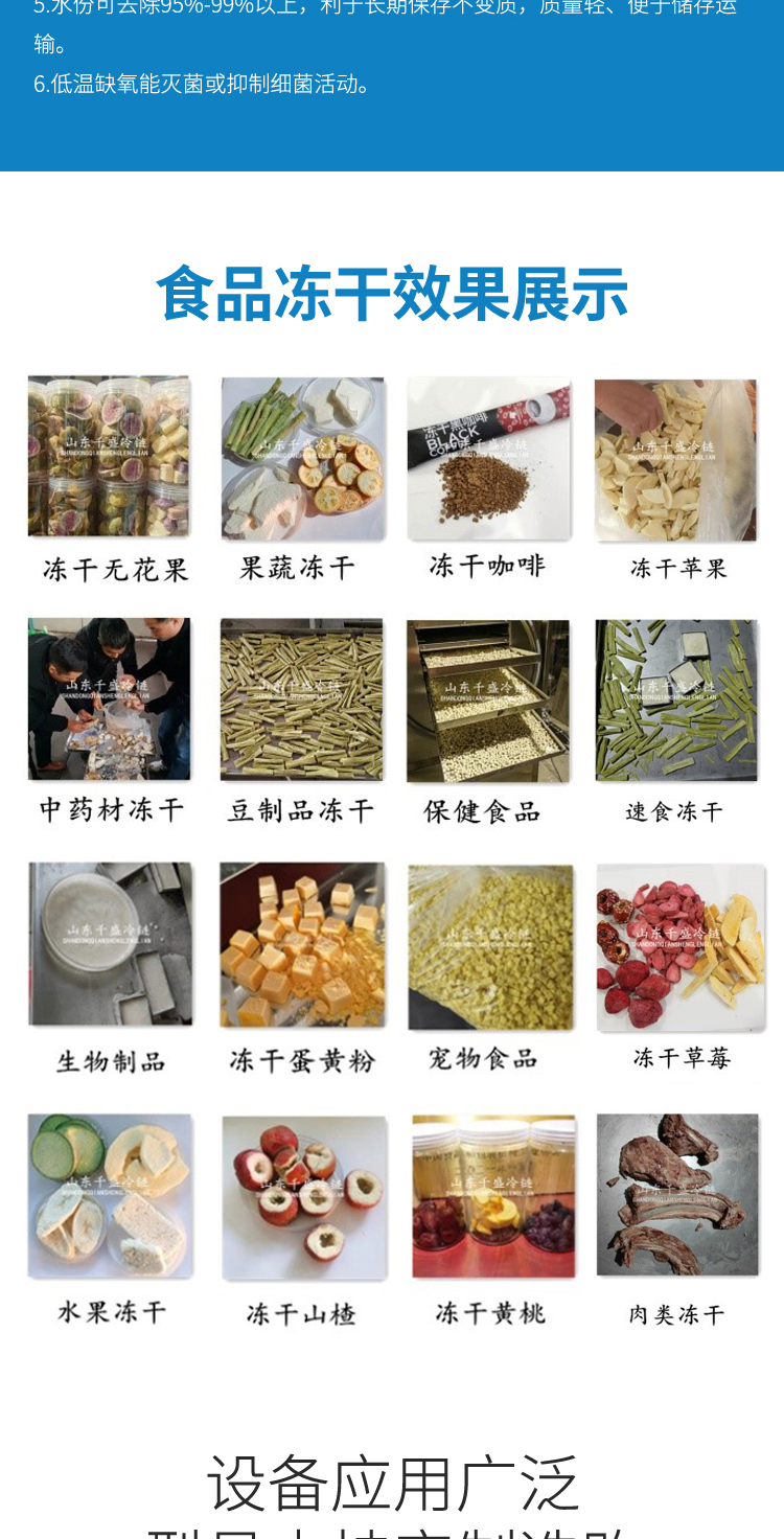 Strawberry vacuum freeze-drying machine, fruit drying freeze-drying equipment, vegetable freezing equipment, Qiansheng cold chain